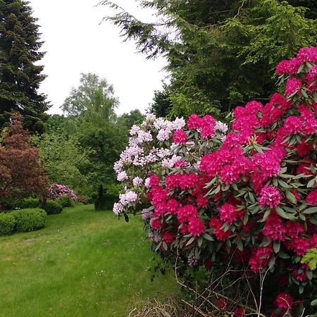 Ferienwohnung Gartenblick Worpswede Bagian luar foto