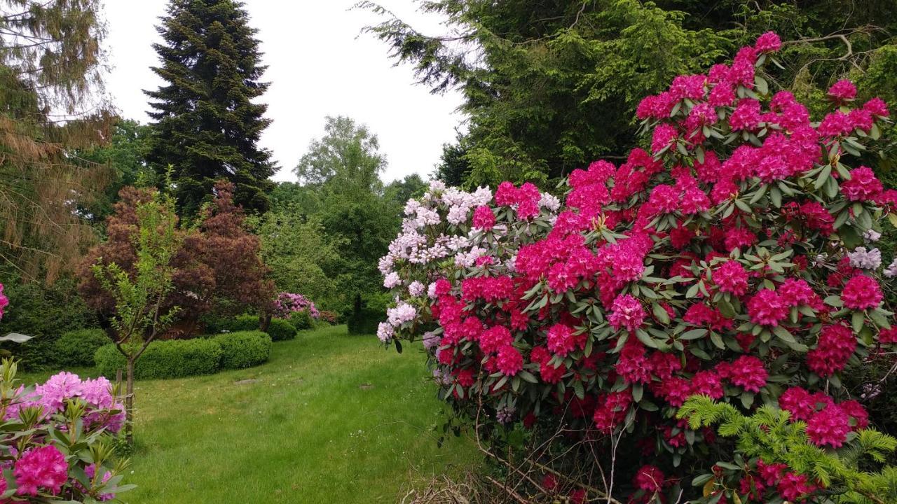 Ferienwohnung Gartenblick Worpswede Bagian luar foto